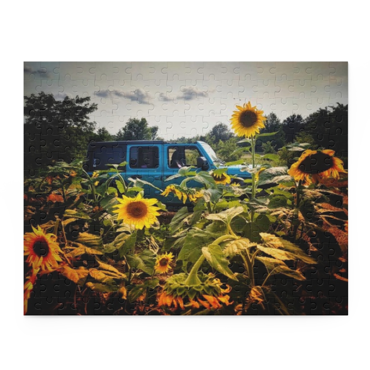 Blue Jeep Sunflower Puzzle (120, 252, 500-Piece) - Image 2
